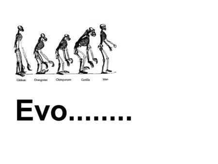 Evo......... Evo........Devo Evo - Devo: Evolution and Development I. Background.