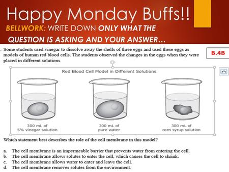 Happy Monday Buffs!! BELLWORK: WRITE DOWN ONLY WHAT THE QUESTION IS ASKING AND YOUR ANSWER…