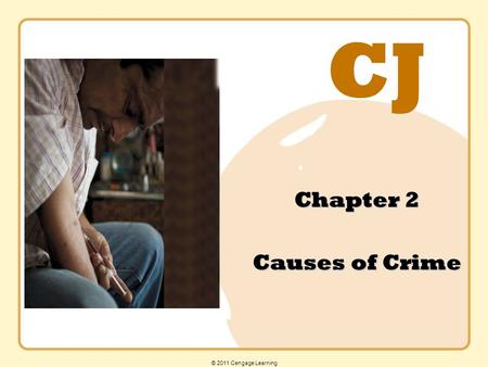 CJ © 2011 Cengage Learning Chapter 2 Causes of Crime.