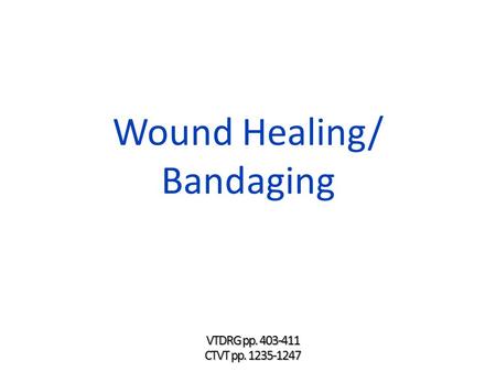 Wound Healing/ Bandaging