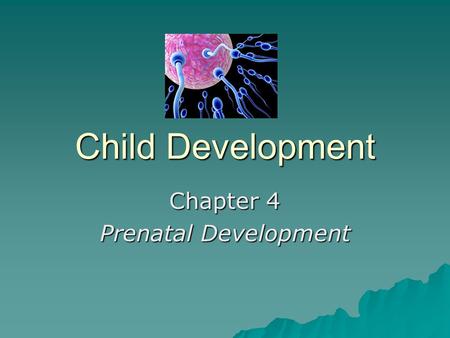 Chapter 4 Prenatal Development