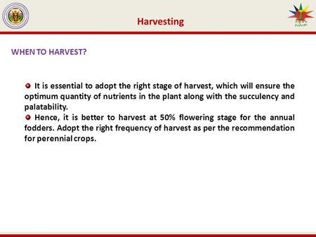 Harvesting WHEN TO HARVEST? It is essential to adopt the right stage of harvest, which will ensure the optimum quantity of nutrients in the plant along.