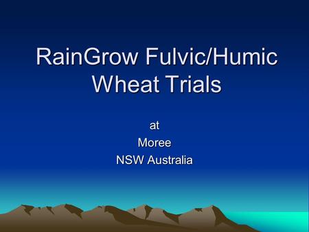 RainGrow Fulvic/Humic Wheat Trials atMoree NSW Australia.