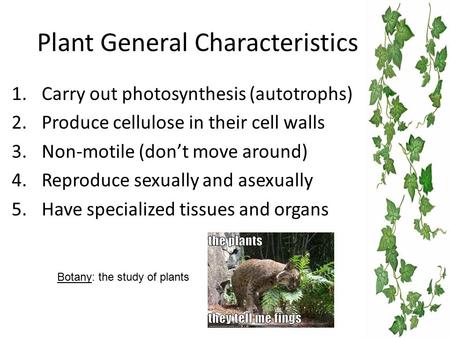 Plant General Characteristics