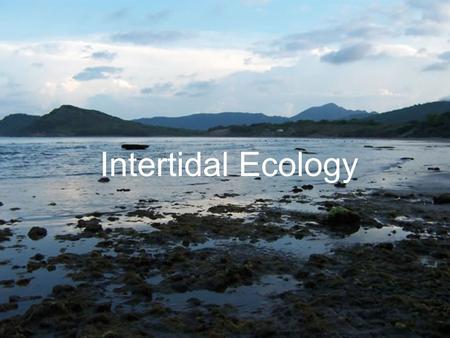 Intertidal Ecology. What is the Intertidal Zone? Zone between highest and lowest tide lines Immersed and Emersed Rocky and soft intertidal zones.