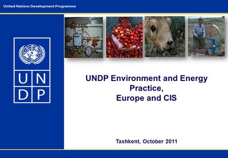 UNDP Environment and Energy Practice, Europe and CIS Tashkent, October 2011.