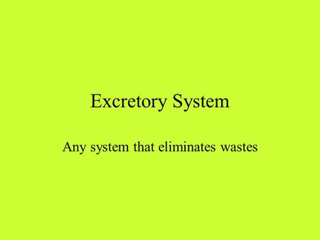 Excretory System Any system that eliminates wastes.