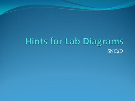 SNC2D. Mouth IS included Top outer lining is one of the types of teeth that frogs possess.