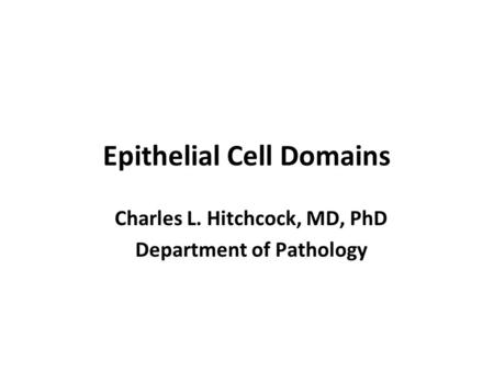 Epithelial Cell Domains Charles L. Hitchcock, MD, PhD Department of Pathology.