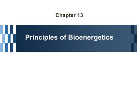 Principles of Bioenergetics