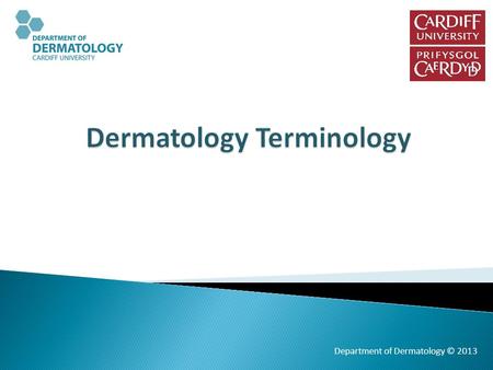 Dermatology Terminology