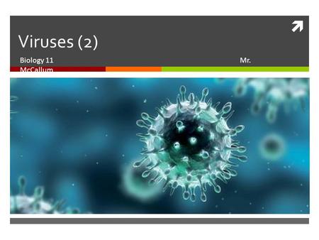  Viruses (2) Biology 11 Mr. McCallum. What do viruses do?  Replicate, replicate, replicate!  Harmful as this leads to the death of the host cell 