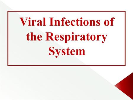 Viral Infections of the Respiratory System.  Common cold (rhinitis).  Sinusitis & otitis media.  Pharyngitis & tonsillitis.  Croup (acute laryngotracheobronchitis).