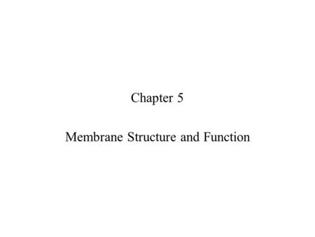 Membrane Structure and Function