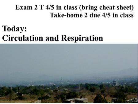 Today: Circulation and Respiration Exam 2 T 4/5 in class (bring cheat sheet) Take-home 2 due 4/5 in class.