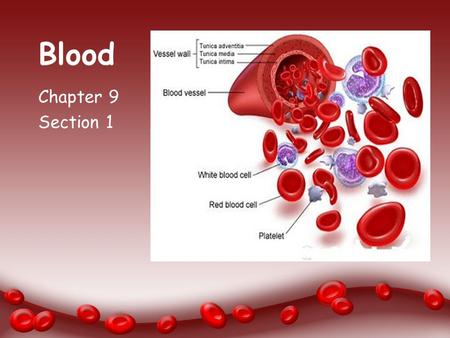 Blood Chapter 9 Section 1.