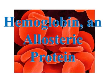 Hemoglobin, an AllostericProtein. Hemoglobin vs Myoglobin Hemoglobin (Hb): - found in red blood cells - responsible for transport of O 2 from lungs to.