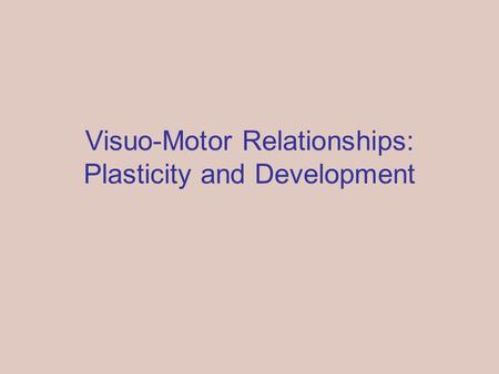 Visuo-Motor Relationships: Plasticity and Development.