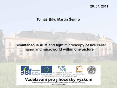 Tomáš Bílý, Martin Šemro 28. 07. 2011 Simultaneous AFM and light microscopy of live cells: nano- and microworld within one picture.