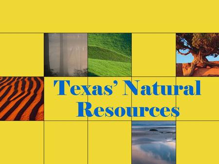 Texas’ Natural Resources. Texas contains a number of different landforms and an abundance of natural resources.