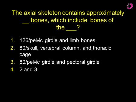 126/pelvic girdle and limb bones