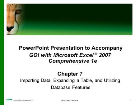 With Excel 2007 Comprehensive 1e© 2008 Pearson Prentice Hall1 PowerPoint Presentation to Accompany GO! with Microsoft Excel ® 2007 Comprehensive 1e Chapter.