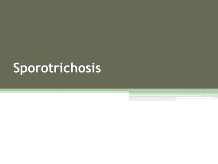 Sporotrichosis.