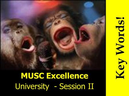 MUSC Excellence University - Session II Key Words!