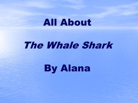 All About The Whale Shark By Alana Where are Whale sharks found4 What does the Whale shark look like? 6 Does the Whale shark have teeth? 8 How did.