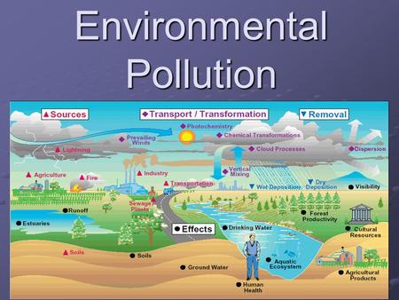 Environmental Pollution