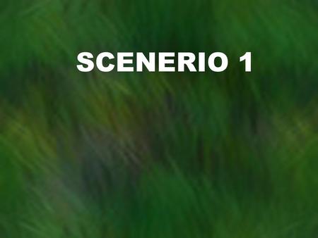 SCENERIO 1. 1000 Hour fire weather forecast for: Monday, April 20 th, 2009 Dry weather will continue to hold over the area today Fire activity will remain.