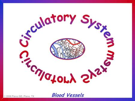 © 2006 Plano ISD, Plano, TX Blood Vessels. © 2006 Plano ISD, Plano, TX The largest artery in the body, the aorta, is almost the diameter of a. a drinking.