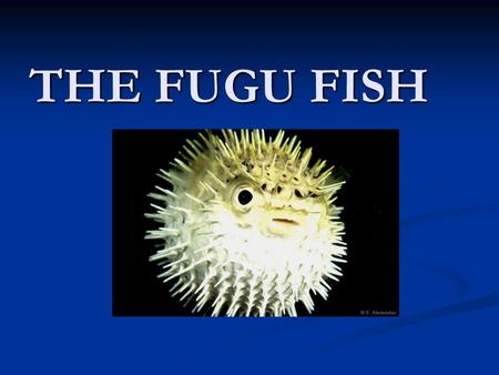 THE FUGU FISH. Enough poison to kill 30 people Just a trace can kill an adult man in minutes Japanese people eat 10,000 tons of fugu a year Takes 11 years.