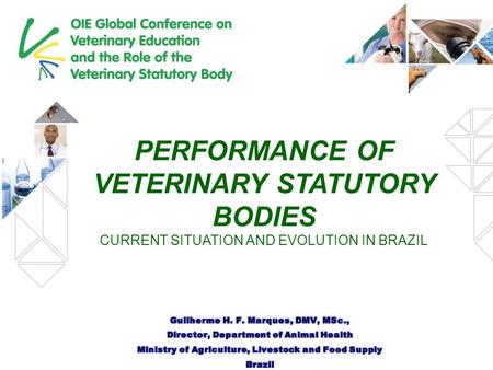 PERFORMANCE OF VETERINARY STATUTORY BODIES CURRENT SITUATION AND EVOLUTION IN BRAZIL.