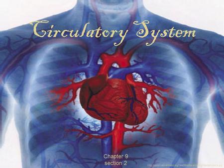 Chapter 9 section 2 Circulatory System