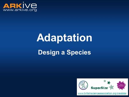 Adaptation Design a Species www.britishscienceassociation.org/creststar.