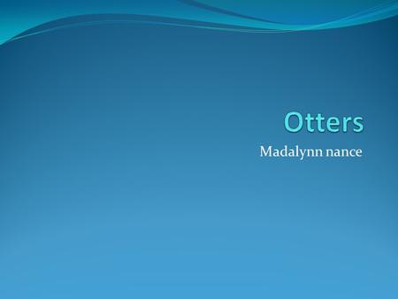 Madalynn nance. Interesting facts Sea otters are cute and cuddly looking with friendly faces and playful personalites. By 1910 it was thought that sea.