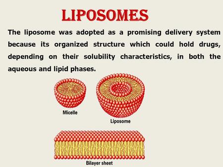 Liposomes The liposome was adopted as a promising delivery system because its organized structure which could hold drugs, depending on their solubility.