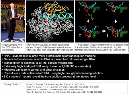 Roger Kornberg wins the 2006 Nobel Prize in Chemistry RNA Polymerase (grey and orange) unwinds genetic blueprint DNA (blue and green), makes RNA copy (red)