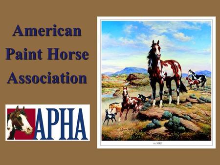 American Paint Horse Association. HORSES What are horses used for?  Work  Entertainment  Pleasure.