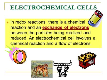 ELECTROCHEMICAL CELLS