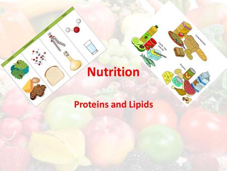 Nutrition Proteins and Lipids. After water, proteins are the most abundant substances in the body. – Used to repair bone, muscle, skin and blood cells,