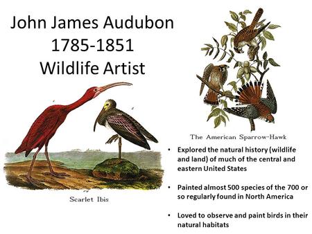 John James Audubon 1785-1851 Wildlife Artist Explored the natural history (wildlife and land) of much of the central and eastern United States Painted.