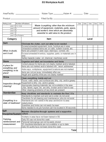 5S Workplace Audit Category Item Level Sort Store Shine Standardize