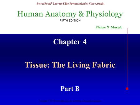 Human Anatomy & Physiology FIFTH EDITION Elaine N. Marieb PowerPoint ® Lecture Slide Presentation by Vince Austin Copyright © 2003 Pearson Education, Inc.