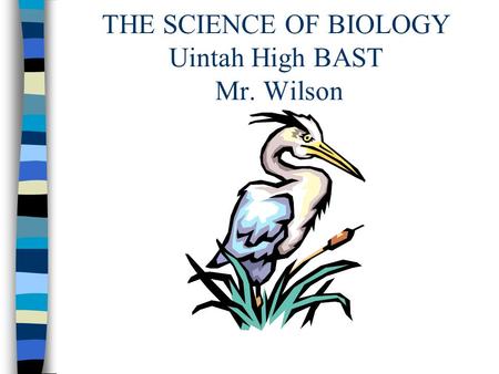 THE SCIENCE OF BIOLOGY Uintah High BAST Mr. Wilson.