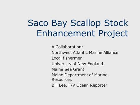 Saco Bay Scallop Stock Enhancement Project A Collaboration: Northwest Atlantic Marine Alliance Local fishermen University of New England Maine Sea Grant.