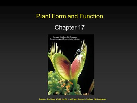 Johnson - The Living World: 3rd Ed. - All Rights Reserved - McGraw Hill Companies Plant Form and Function Chapter 17 Copyright © McGraw-Hill Companies.