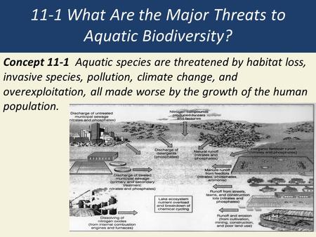 11-1 What Are the Major Threats to Aquatic Biodiversity? Concept 11-1 Aquatic species are threatened by habitat loss, invasive species, pollution, climate.