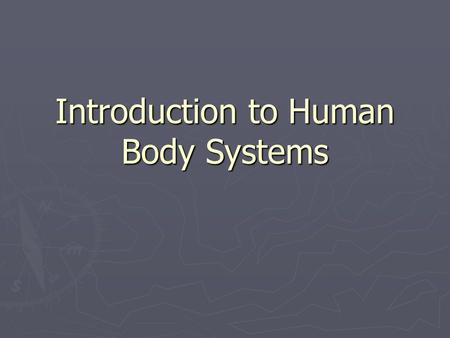 Introduction to Human Body Systems